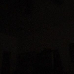 Meet your Posher, Carlie